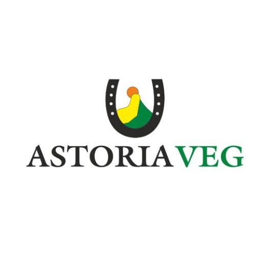 Astoria Veg Restaurant